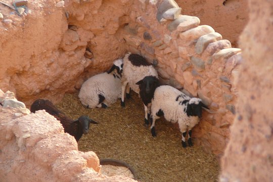 Tour image 6