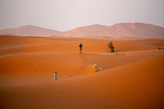 Tour image 3
