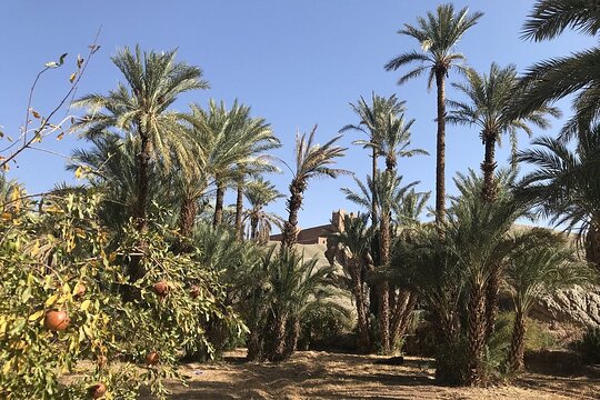 Tour image 9