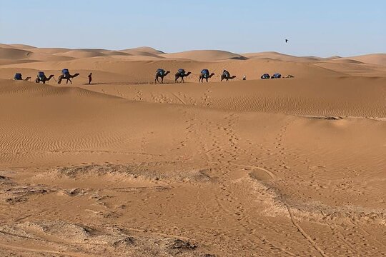 Tour image 13