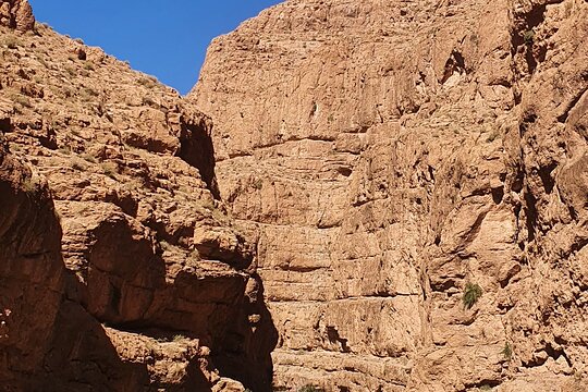 Tour image 12